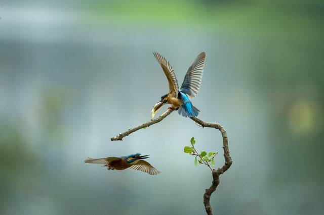 写好今天的诗篇