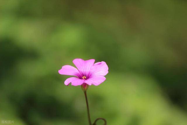 一个男人对你没有爱，以下行为瞒不住，那就放弃吧