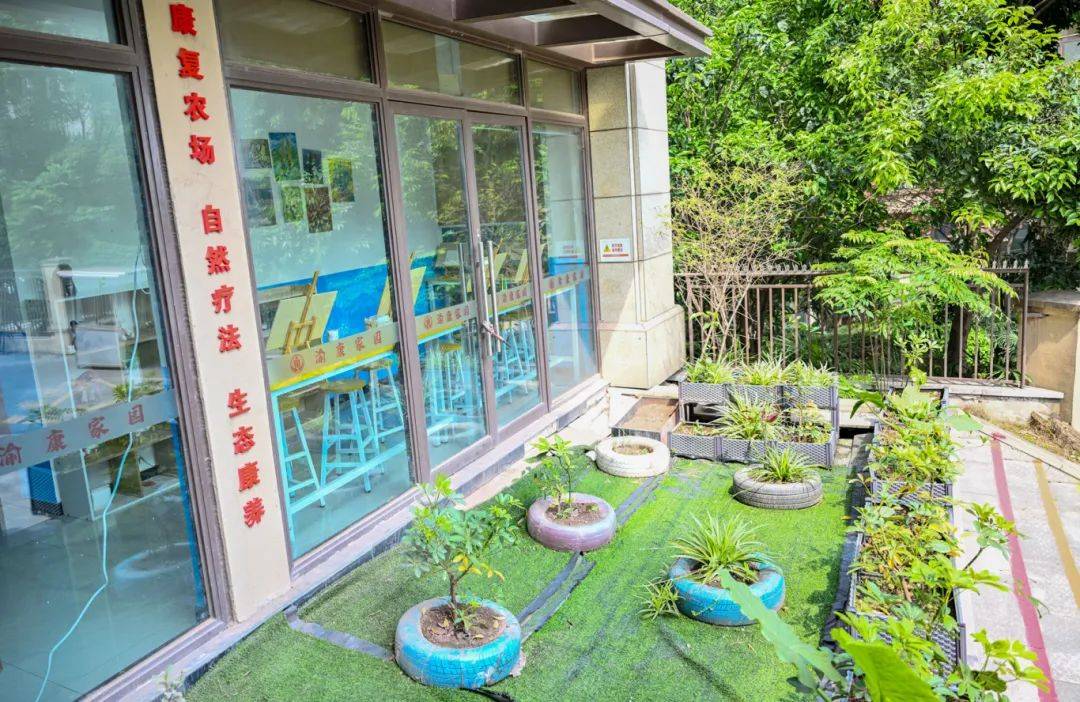 我家就在岸上住｜张 茜：长生桥镇渝康家园里的生命交响