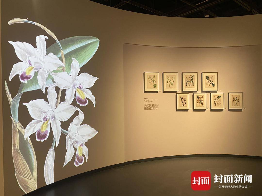 在这场中国最大规模的博物绘画艺术展中 邂逅跨越千年的自然之美