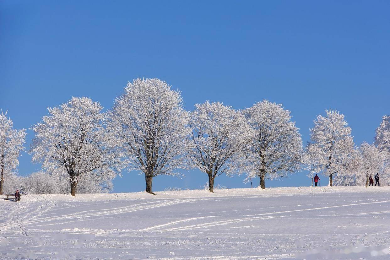 原创            为什么聪明人都在悄悄远离人群？