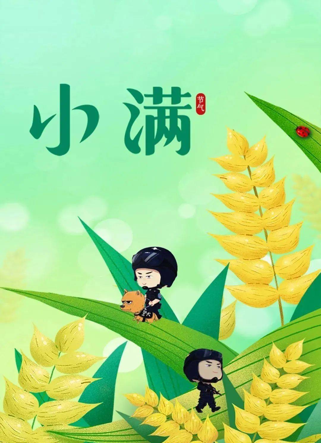 小满，保护心之阳气，学几个养心健脾降火的小方法！