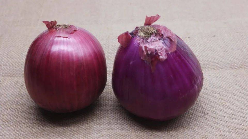 想要降血糖，不妨常吃这4种食物，不仅降血糖，还保护心血管