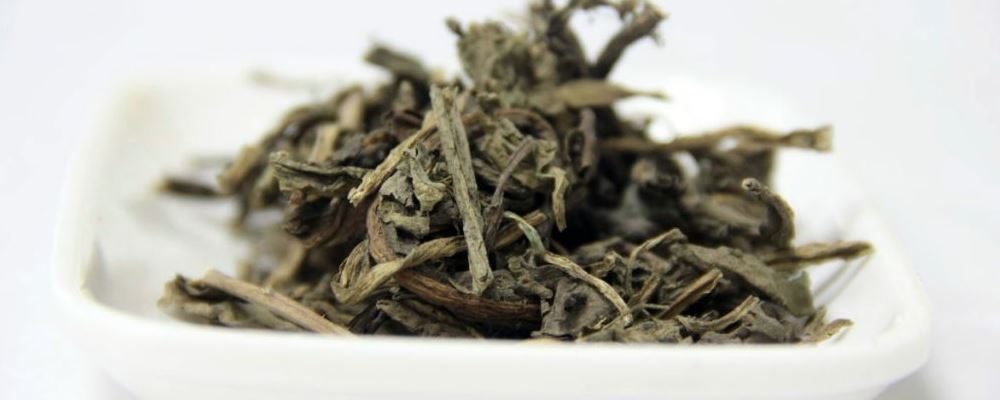 大青叶泡水喝有什么好处 大青叶的功效与作用 大青叶的药用价值