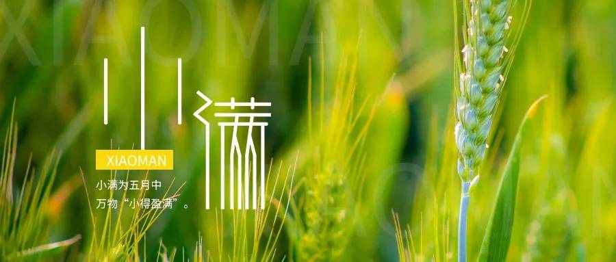 【小满节气】小满湿热最伤身！教你3招健脾祛湿，养足阳气迎盛夏