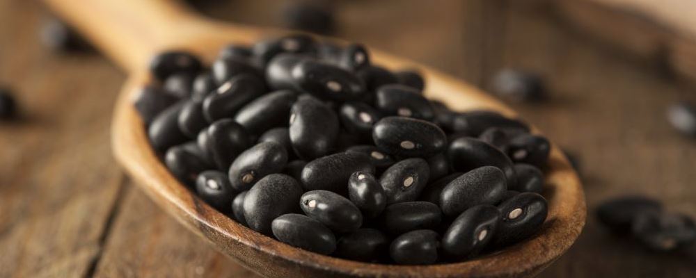 黑豆神奇功效超补药堆，带你领略其独特之处