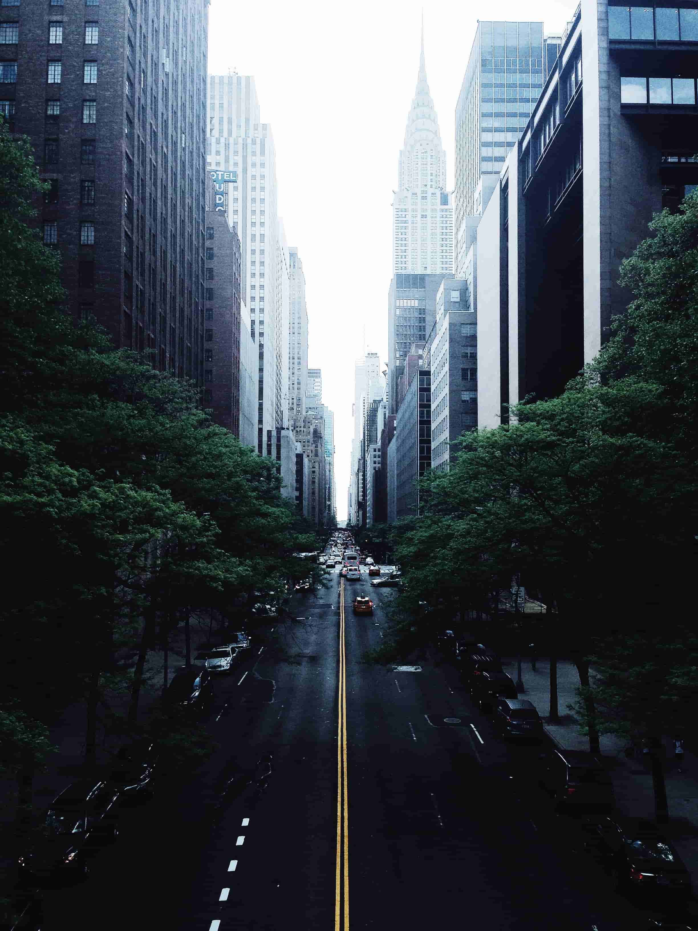 绘画新手如何掌握从基础到进阶的绘画技巧？