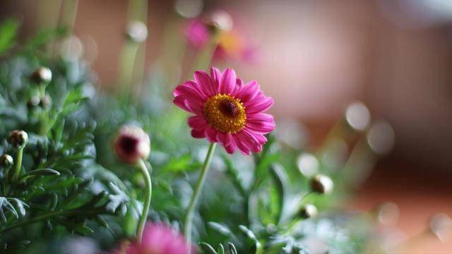 男人找老婆，漂亮贤惠不重要，以下这些才关键