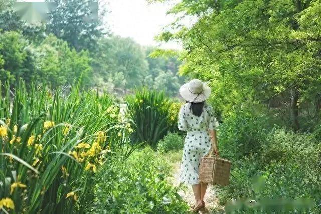 立夏以后四不吃，整个夏日病不找，你知道多少