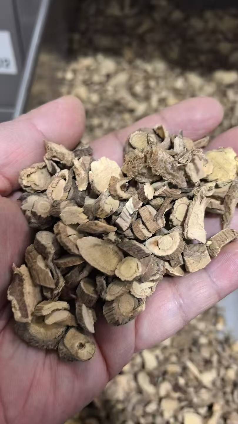 男子煎服15克山豆根中毒送医，医生：不能盲目相信偏方