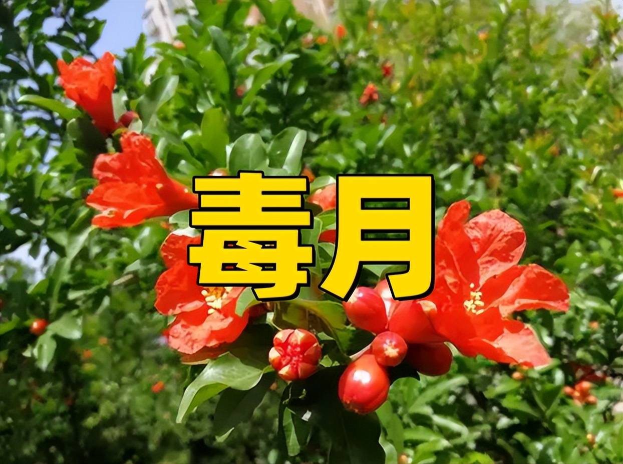 原创            今日进入“毒月”，无论有钱没钱，牢记：吃3样，忌2事，别大意了
