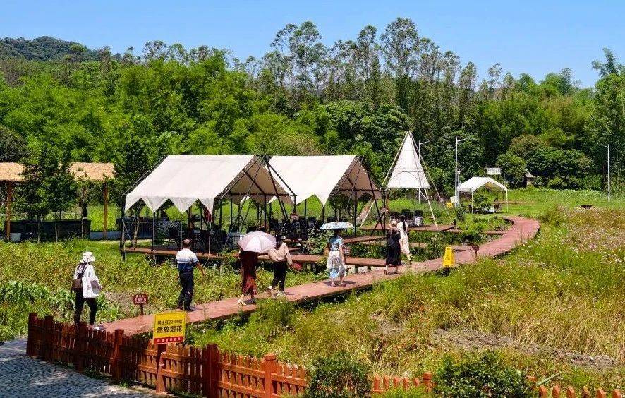 龙门组织农民画画家集中创作，展现环南昆山—罗浮山引领区新貌