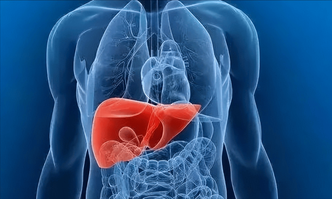 肽真的能够解酒护肝吗