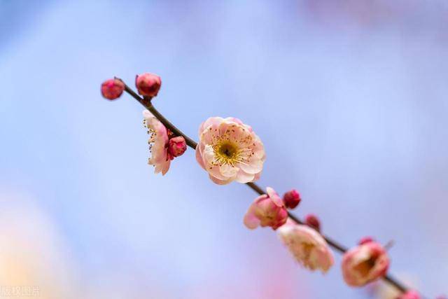 男人突然冷落你，不是变心了，真实原因，比你想的更现实
