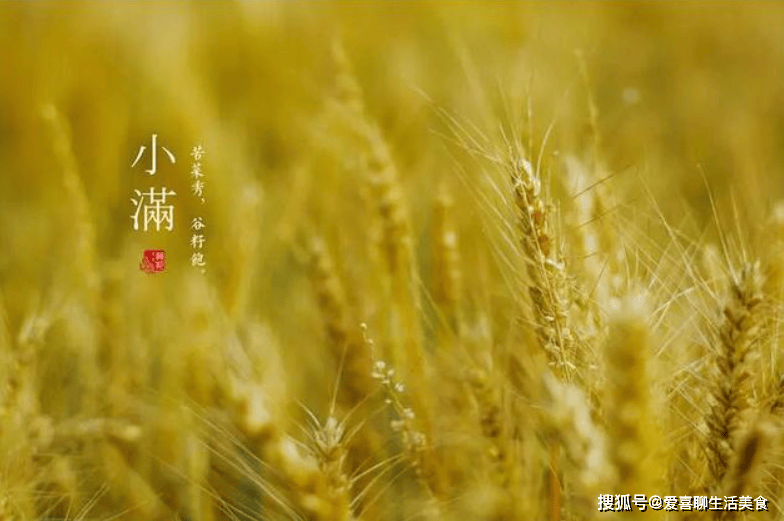 原创            小满来临，记得给家人吃这菜，一清热、二下火、三补水，老少皆宜！