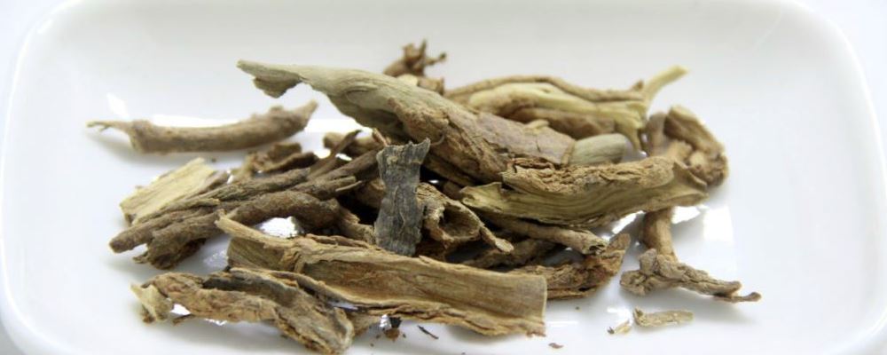 地骨皮泡水喝的功效 地骨皮泡水喝的方法 地骨皮泡水喝的禁忌