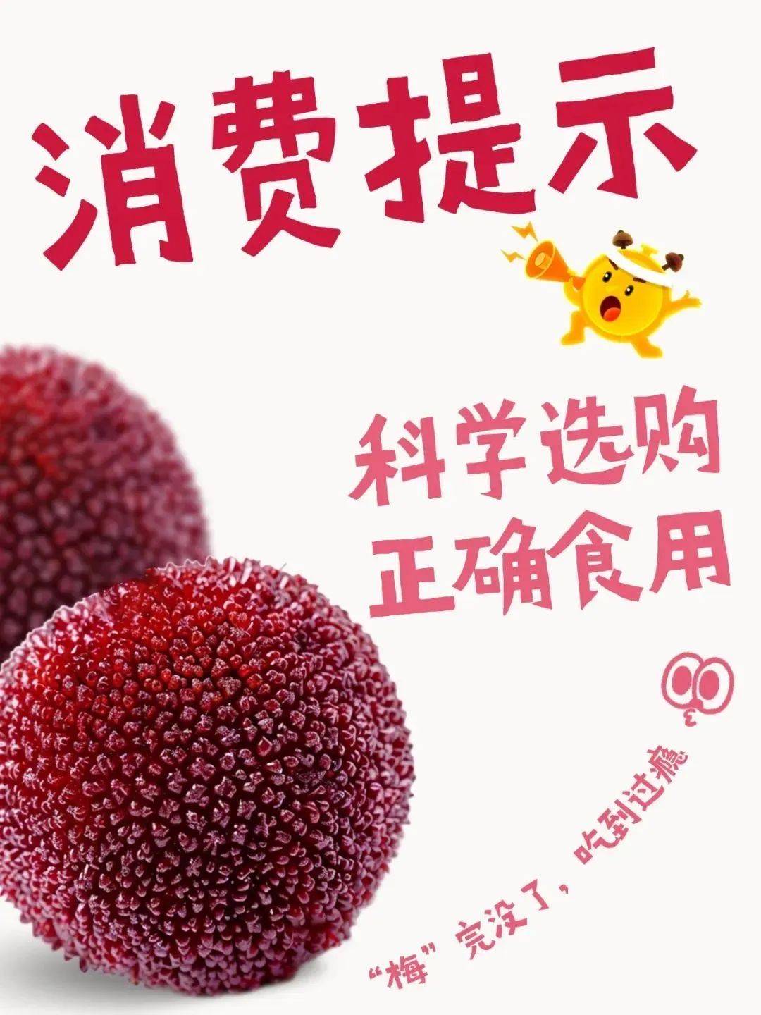 盛夏时节，杨梅正当时！安心享用果中“玛瑙”，需这样做→