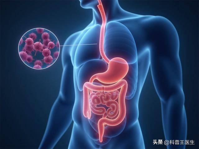 春季排毒陷阱：断食、灌肠真的有必要吗？