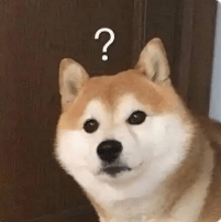 不是吧？他居然也恋爱了！