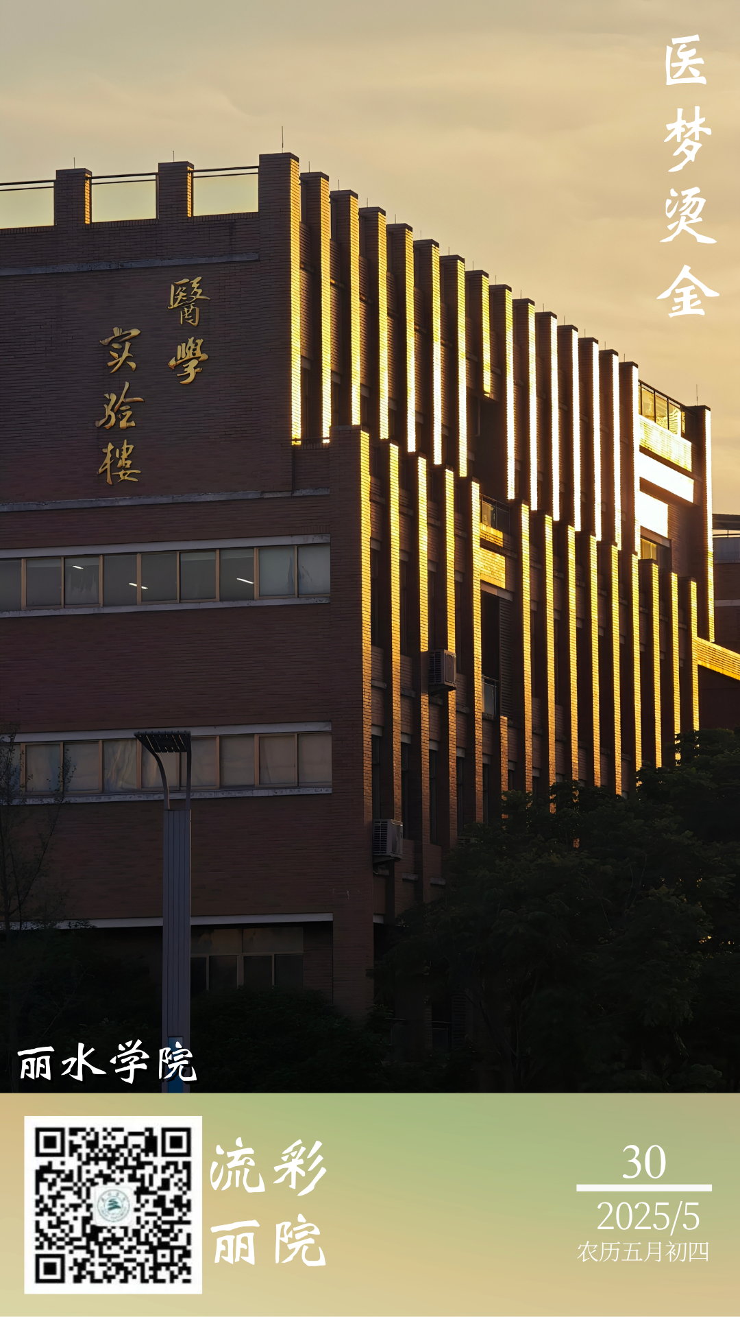 每周一图|医梦烫金