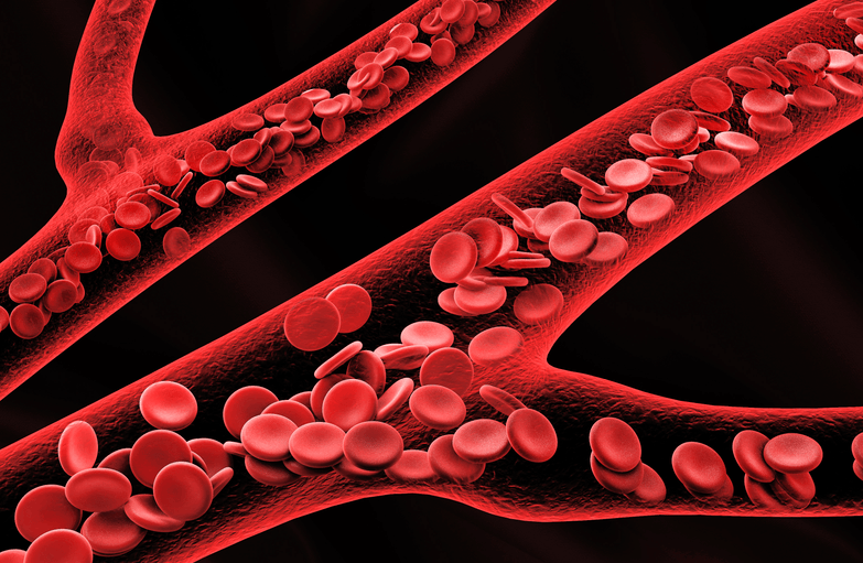 指标升高都是高血脂吗？教你看懂体检报告