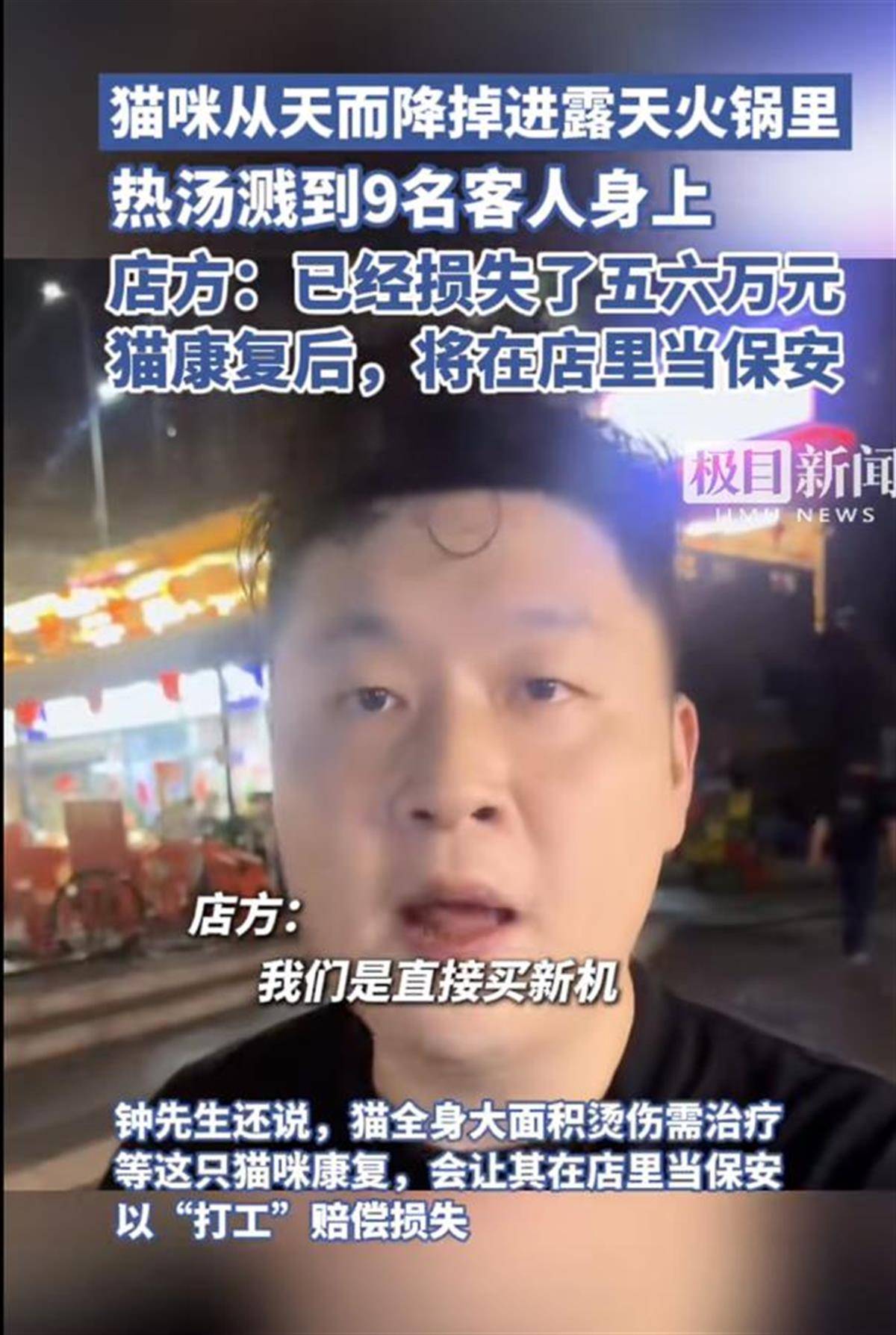 一只猫“从天而降”掉进火锅，多名客人被烫伤，为什么这位老板不被骂反被夸？