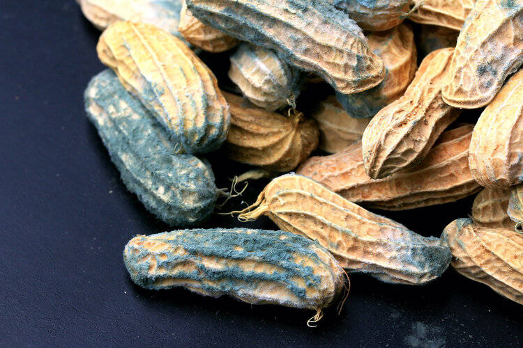 “肝癌大户”被揪出，是烟酒的10倍，提醒：再不忌口，肝或硬如石