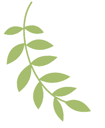 五月养出好气色：祛湿+养肝食谱+护肤食谱一篇收！｜杏林之声