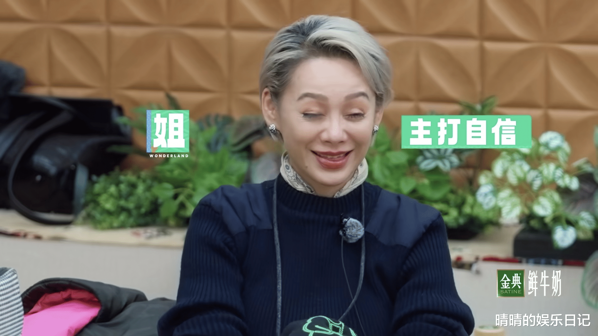 《五十公里桃花坞5》开播：宁静摆架子、老坞民摆烂，遭网友吐槽