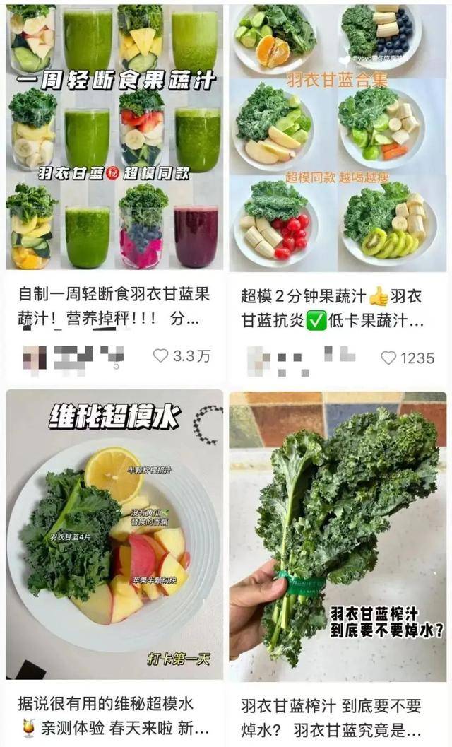 羽衣甘蓝、红菜头怎么就成了“顶流”食材？