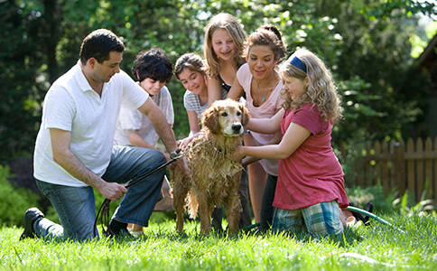 心学问教育怎么样？孩子上课不听讲如何引导