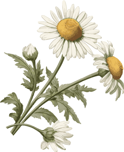 “品龙虾 赏文玩”鱼台县首届文玩交流会