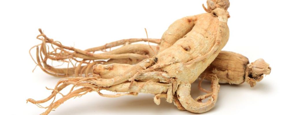 人参泡水喝的正确方法及用量详解（SEO 优化版）