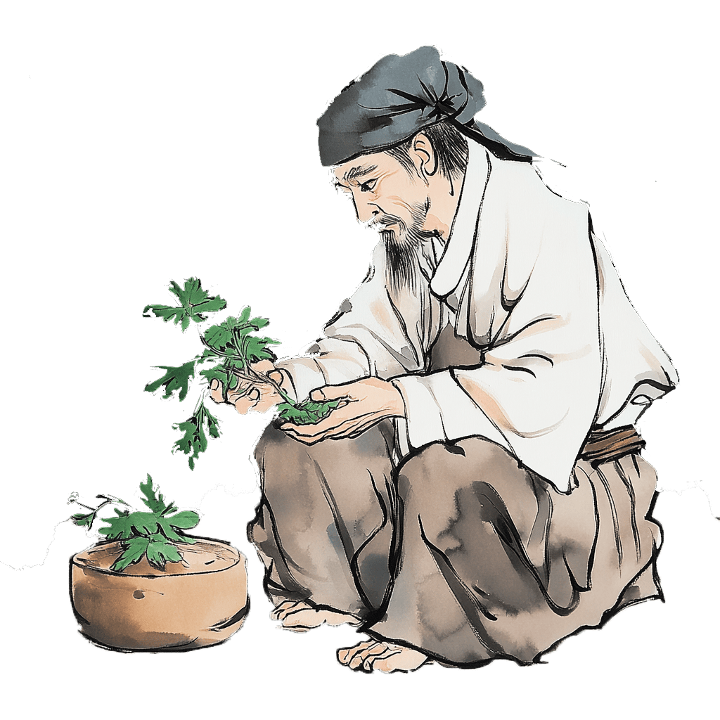 中医中药 | 喝中药后身体“闹动静”？别慌！这里有“反应解码指南”