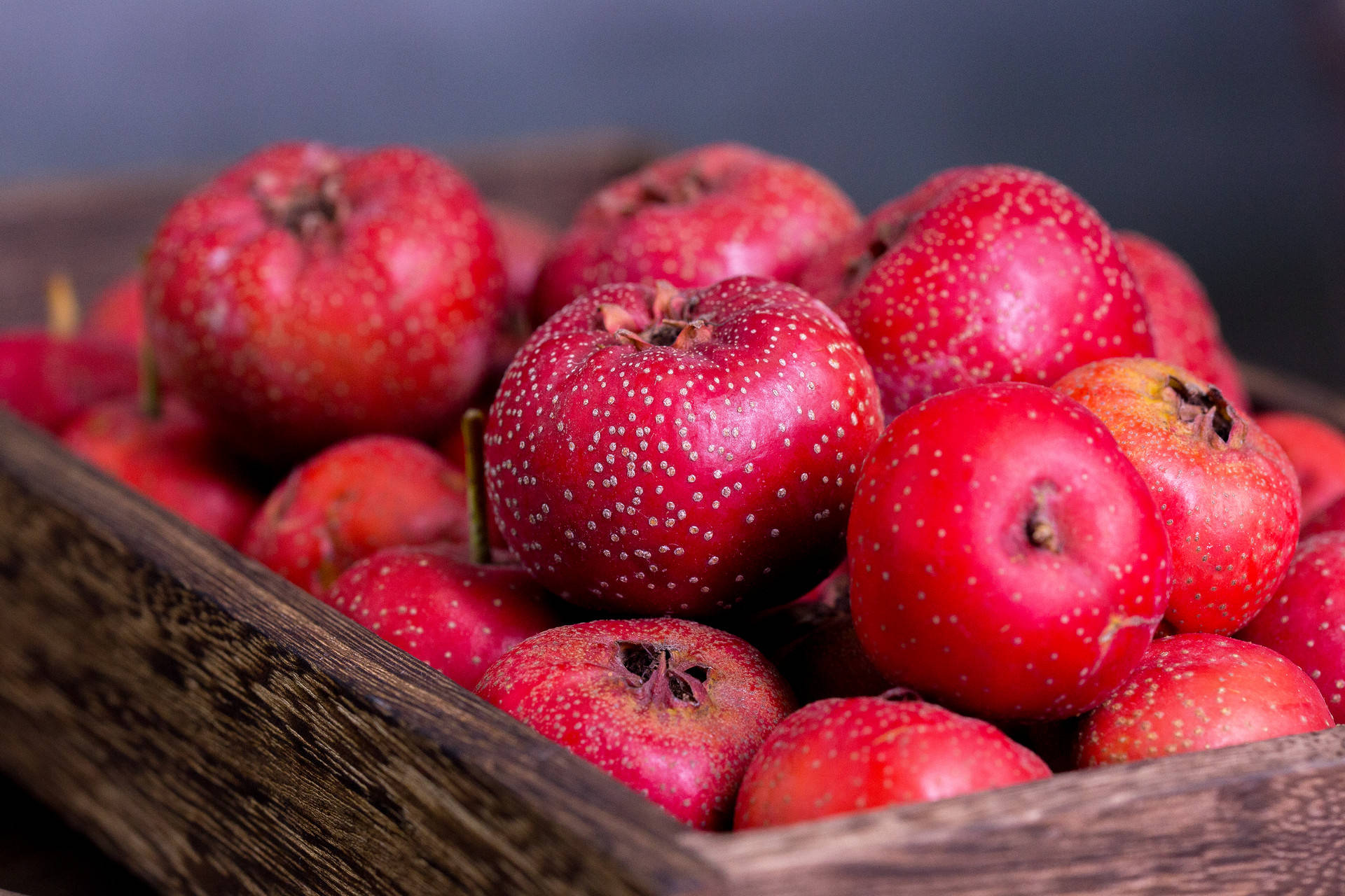 8 种血糖食物最适合糖尿病