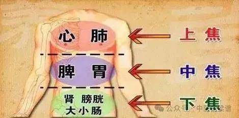 肾功能衰竭不宜盲目补肾，宜健脾和胃
