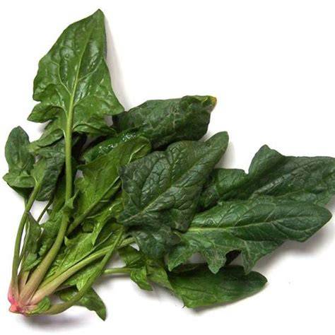 立夏后，少吃韭菜、芹菜，多吃这8种“养肝菜”，疏肝泻火睡眠好