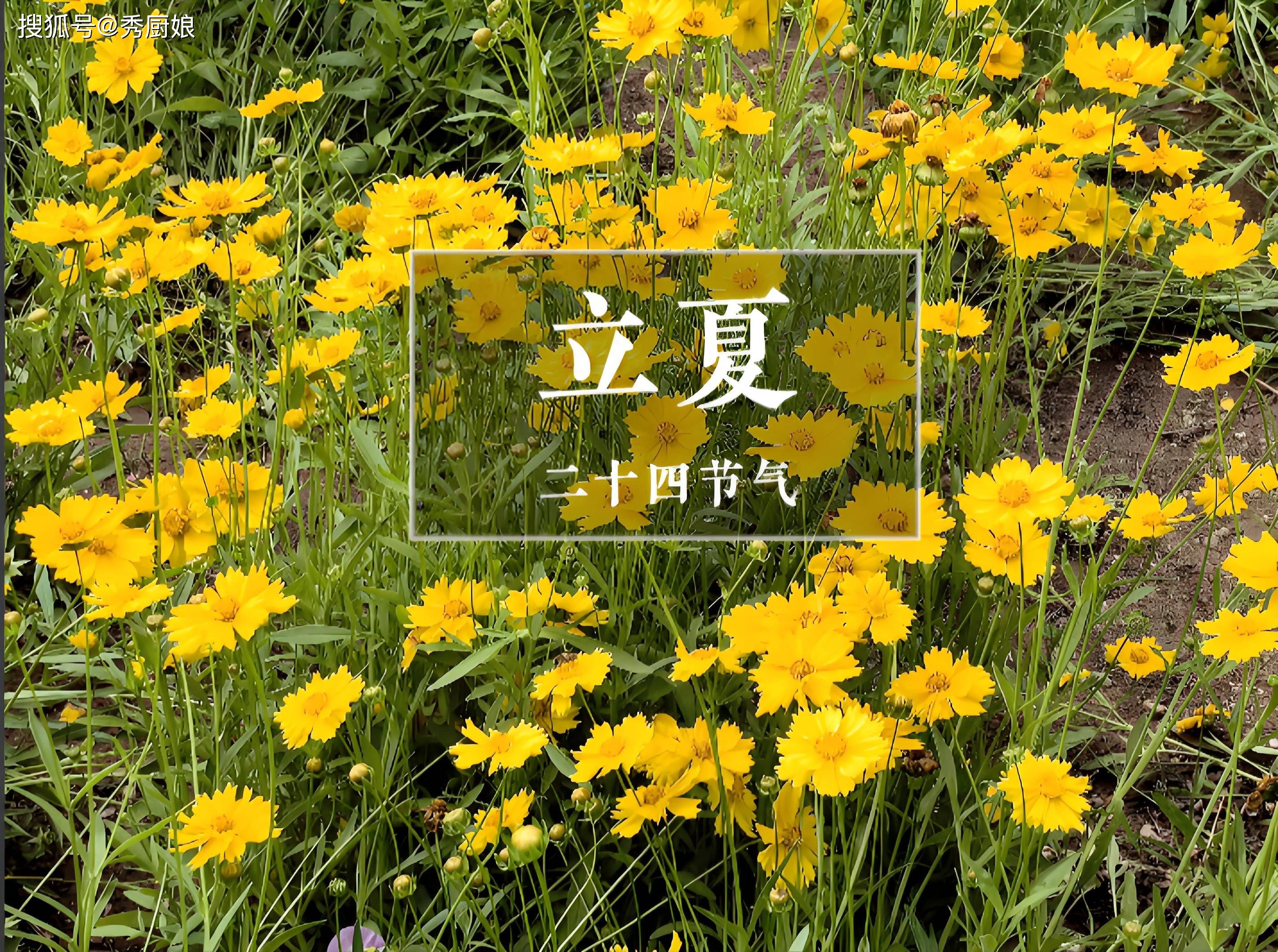 原创            立夏后，“养心就是养命”，牢记吃3宝，做3事，忌3事，安康度夏