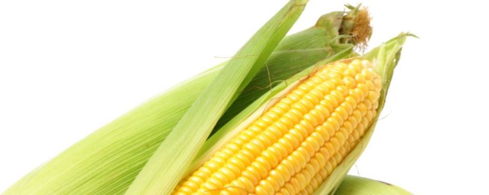 如何通过这几种黄色食物养出好气色？效果超棒！
