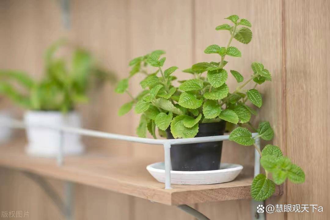 人到中年，男人为啥开始嫌弃妻子？这些真相扎心了！