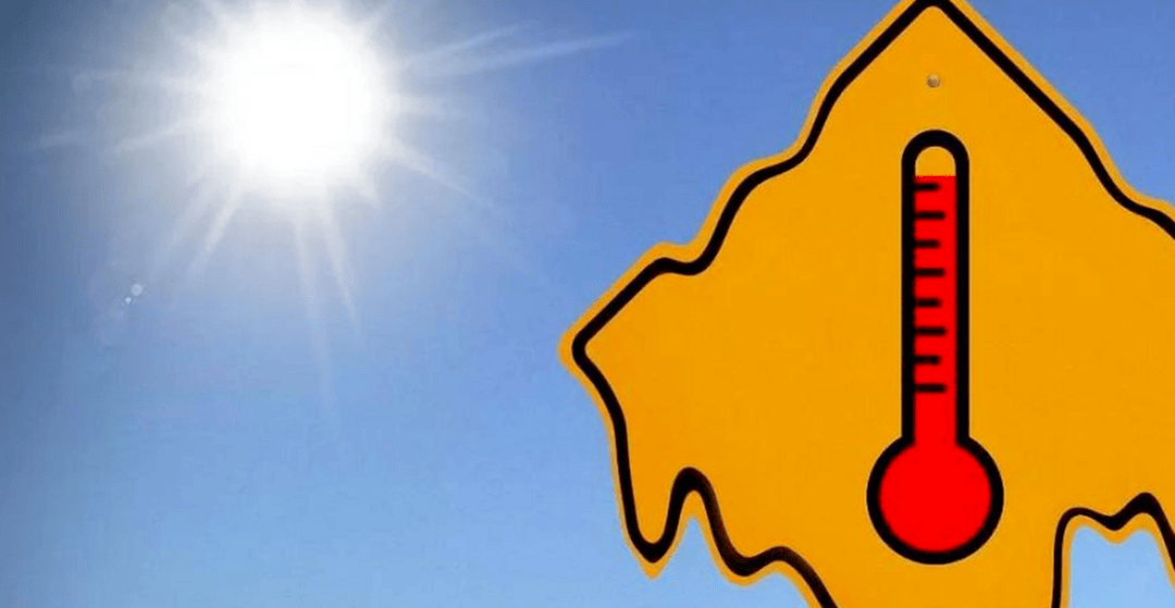 原创            小满已过，饮食记牢"3不食2要吃"，增酸减苦，为盛夏做好准备