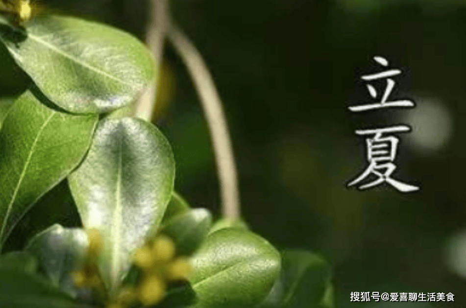原创            立夏过后，建议大家要管住嘴，记得3多吃3少吃，顺应时节安然度夏
