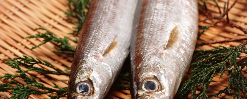 常吃带鱼的益处及带鱼的美味烹饪方法