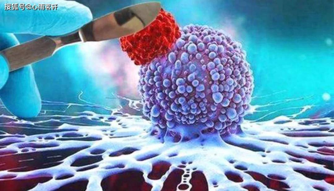 原创            癌症靶向药：帕妥珠单抗