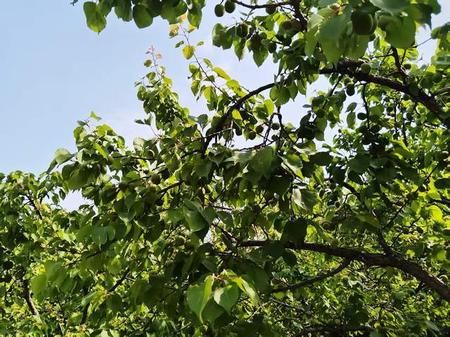 原创            孩子不想出门，不愿社交，不想交友和学习，家长可以这样引导孩子