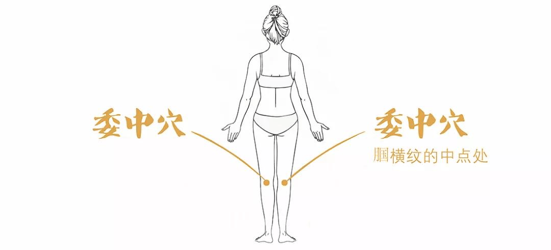 人体两个“祛湿口”很关键，一个化湿、一个排湿！