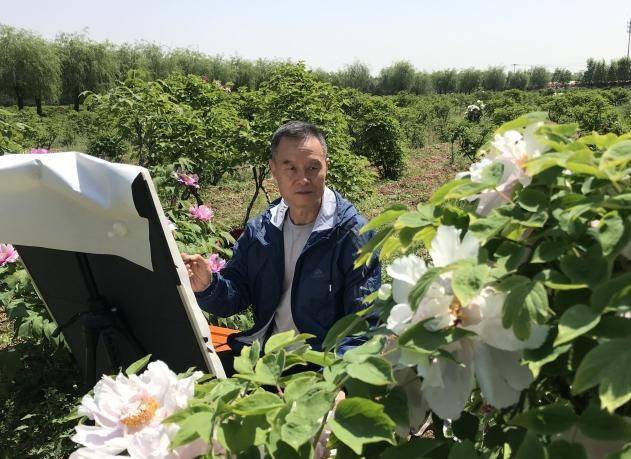 尹文红笔下的牡丹娇艳多姿