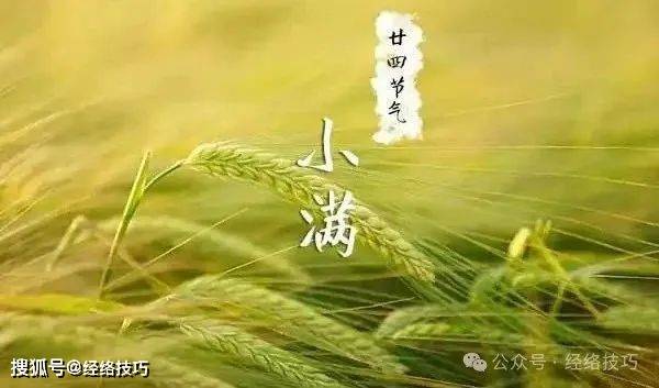 原创            小满到，湿热渐显，饮食三法助你轻松祛湿