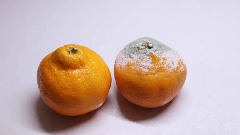 癌症是省出来的？医生劝告：这3种情况不能省，有致癌风险