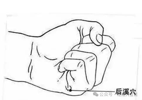 腰痛的2个重要开关，是治疗急性腰扭伤的要穴，舒筋活络，化瘀止痛！